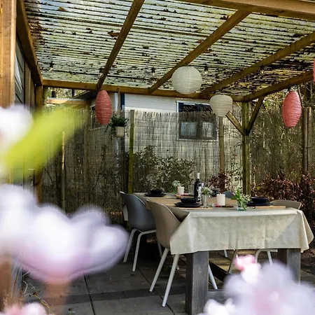 Boschalet Stijn Alpesi faház