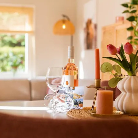 Boschalet Stijn Alpesi faház Hattemerbroek