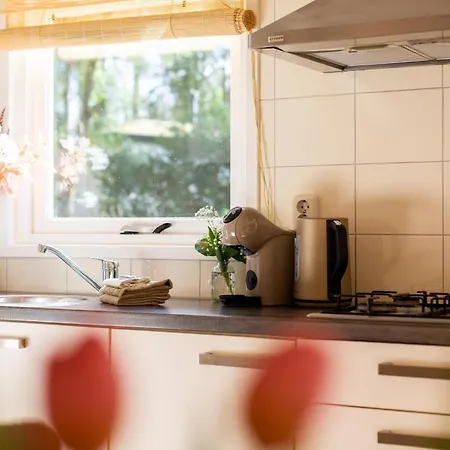 Alpesi faház Boschalet Stijn Hattemerbroek