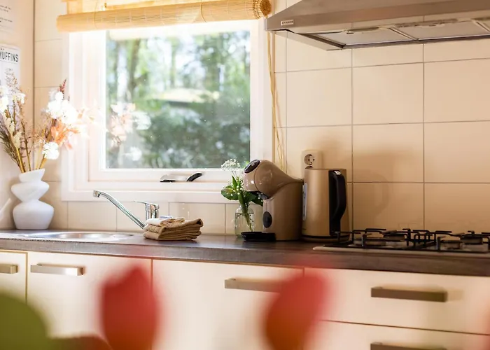 Alpesi faház Boschalet Stijn Hattemerbroek