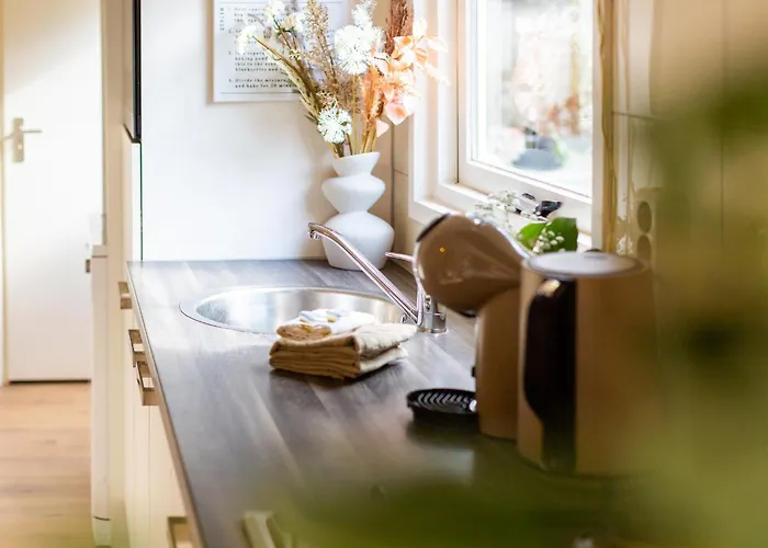 Boschalet Stijn Chalet