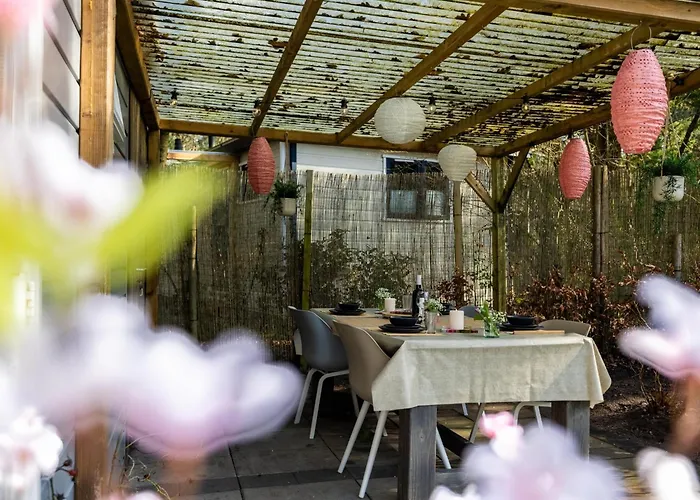 Boschalet Stijn בקתה