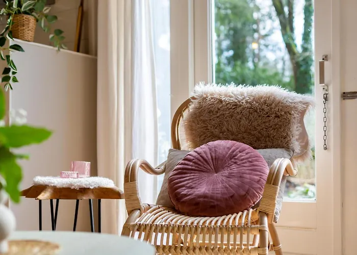 Boschalet Stijn Hattemerbroek